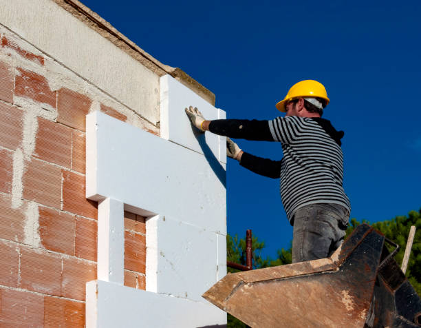 Best Insulation Repair Services  in Glen Ellyn, IL