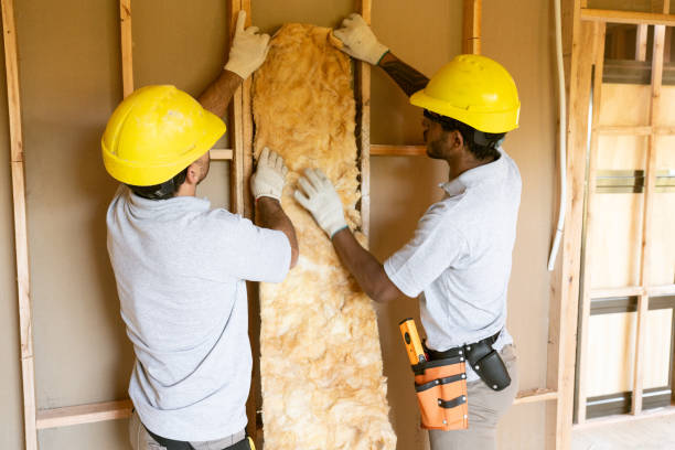 Best Insulation Replacement Services  in Glen Ellyn, IL