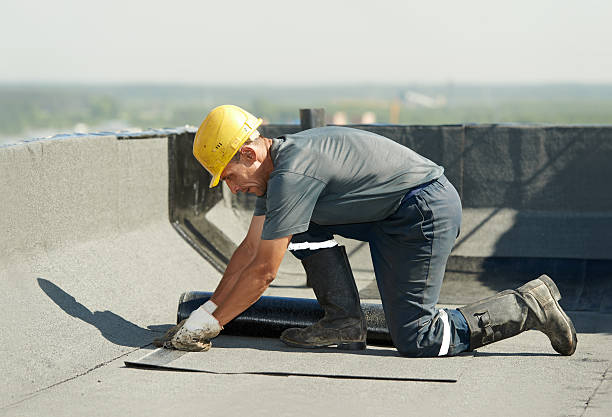 Best Professional Insulation Contractor  in Glen Ellyn, IL