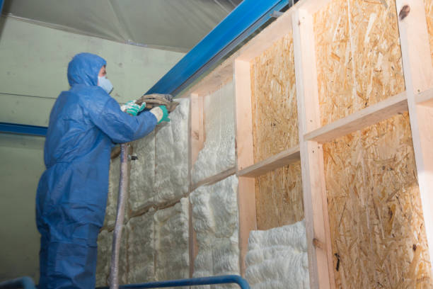 Best Insulation Removal  in Glen Ellyn, IL